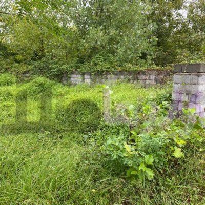 5bc9bf41-0677-474b-b648-d629a01f7723