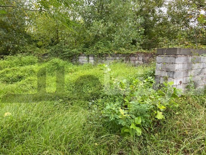 زمین مسکونی ۲۶۳ متری دو نبش با پروانه ساخت و ویو ابدی شالیزار – فرصت نادر در نازکسرا