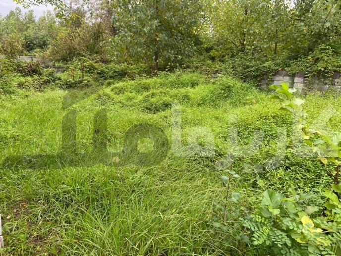 زمین مسکونی ۲۶۳ متری دو نبش با پروانه ساخت و ویو ابدی شالیزار – فرصت نادر در نازکسرا