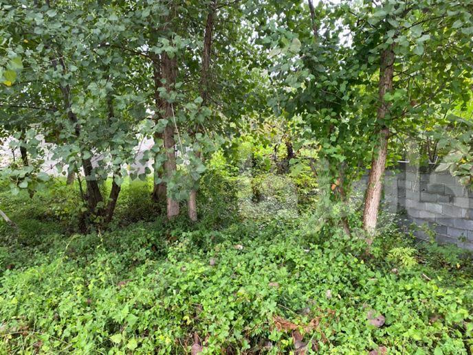 زمین مسکونی ۲۶۳ متری دو نبش با پروانه ساخت و ویو ابدی شالیزار – فرصت نادر در نازکسرا