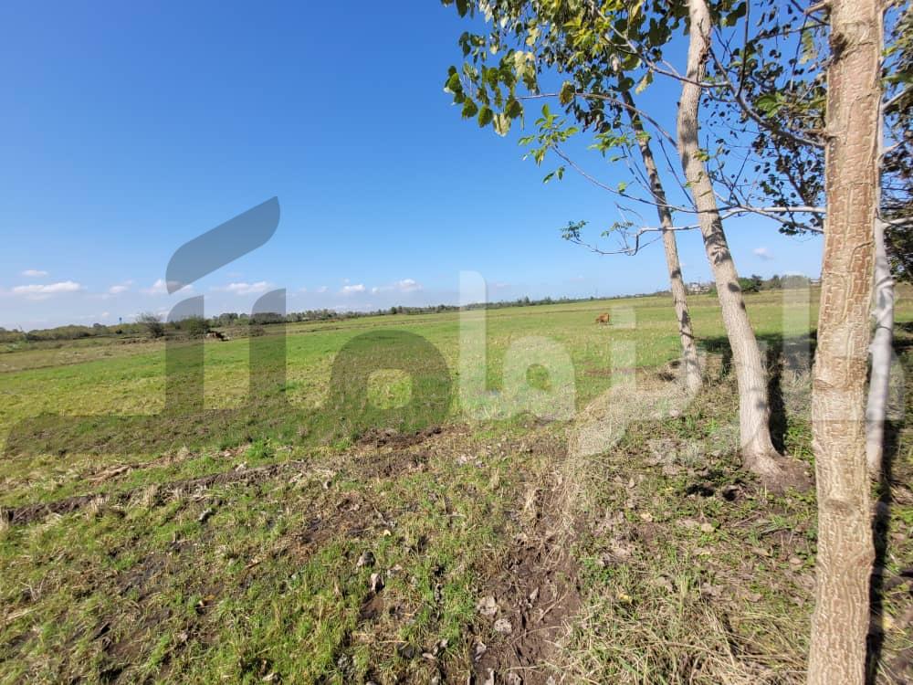 خانه باغ روستایی ۹۳۰۰ متری