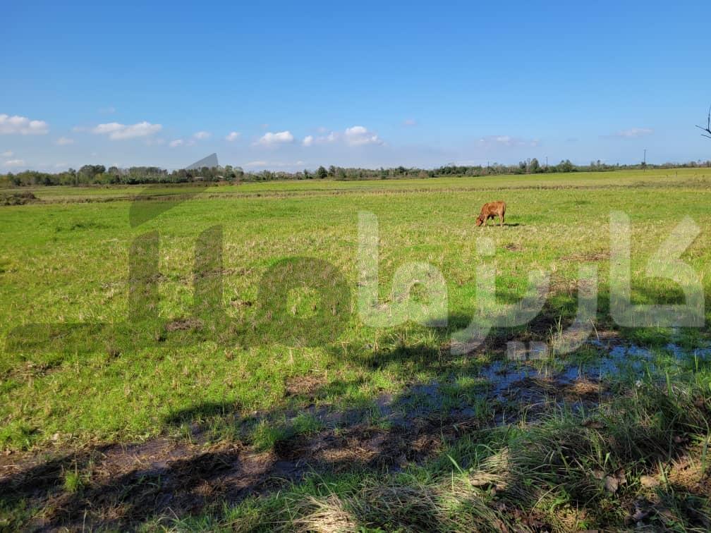 خانه باغ روستایی ۹۳۰۰ متری