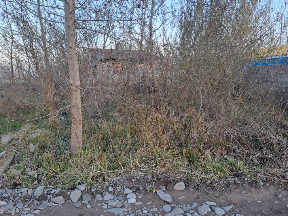 زمین مسکونی قیمت مناسب